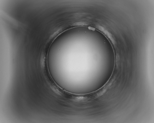 X0000115300153200911091019