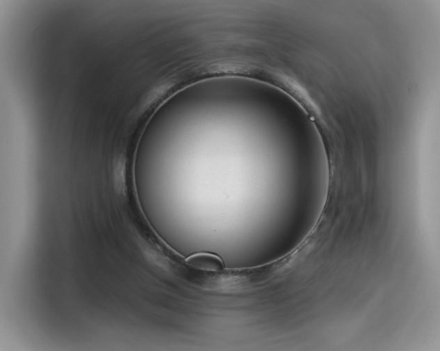 X0000115300154200911091019