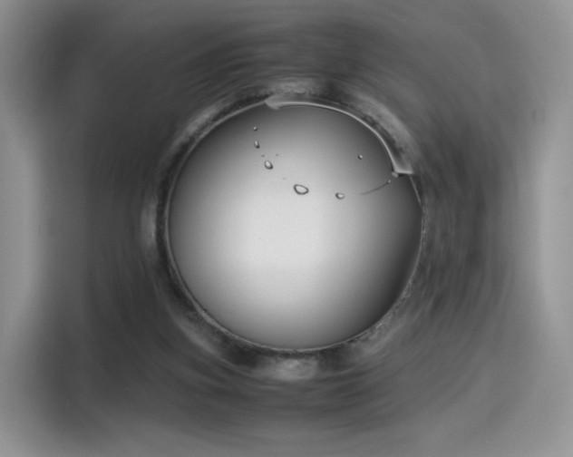 X0000115300155200911091019