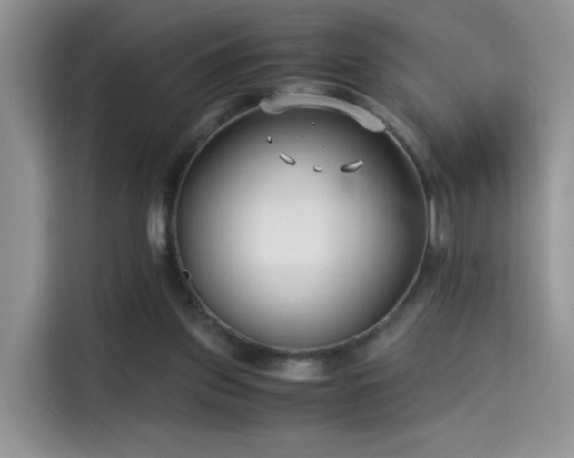 X0000115300157200911091019