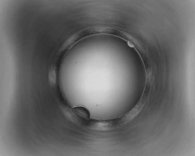 X0000115300158200911091019