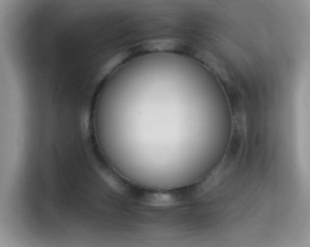 X0000115300159200911091019