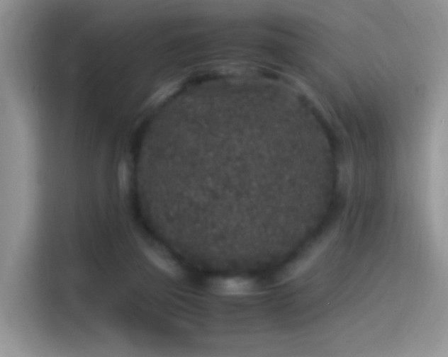 X0000115300165200911091019