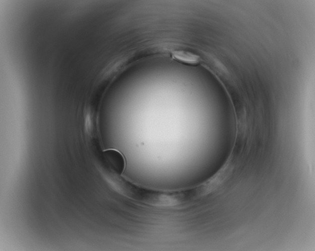 X0000115300166200911091019