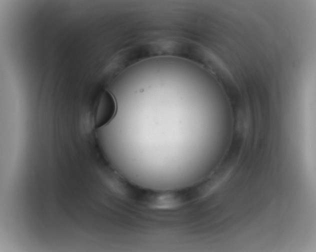X0000115300173200911091019