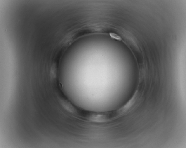 X0000115300174200911091019