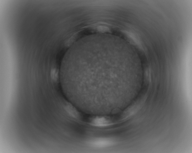 X0000115300177200911091019