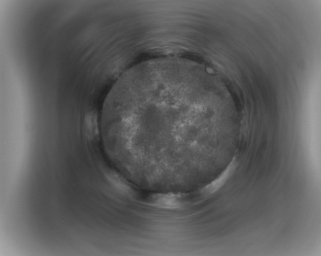 X0000115300182200911091019