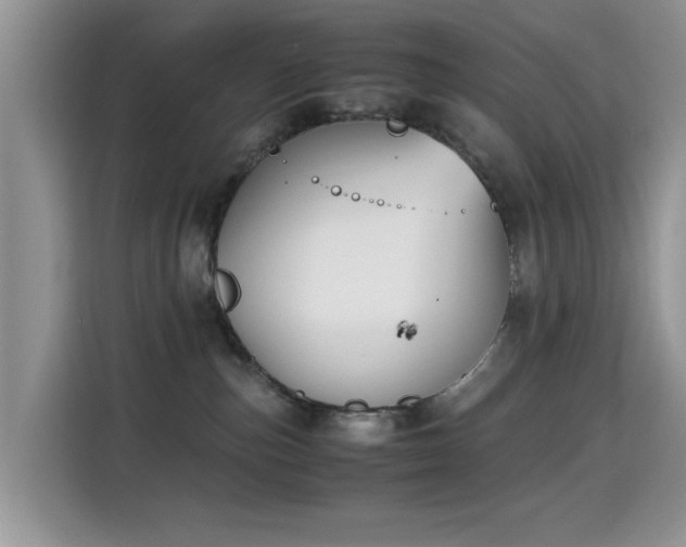 X0000115300187200911091019