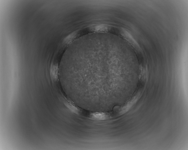 X0000115300189200911091019