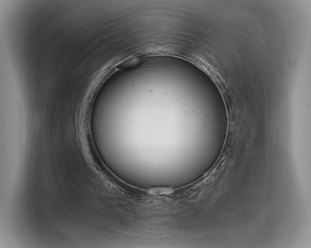 X0000115300193200911091019