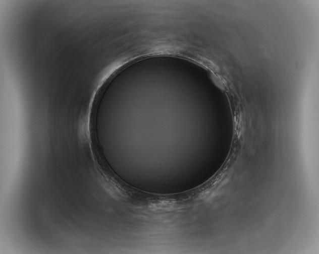 X0000115300196200911091019
