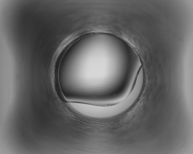 X0000115300199200911091019