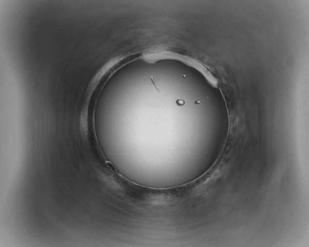 X0000115300200200911091019