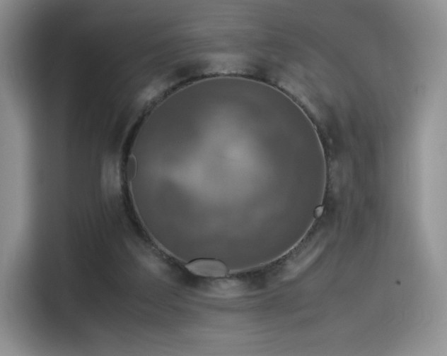 X0000115300203200911091019
