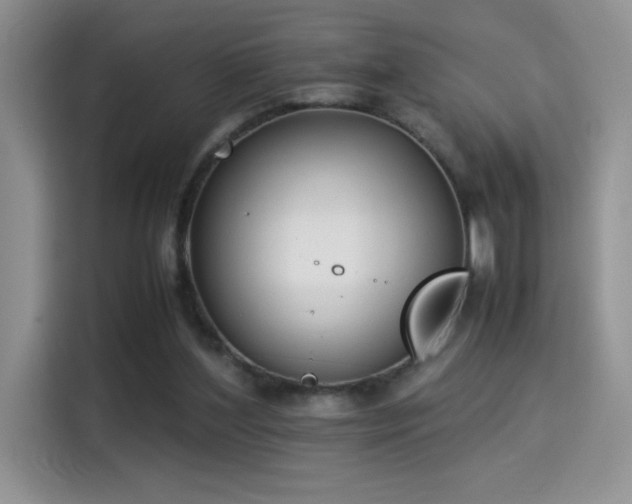 X0000115300204200911091019