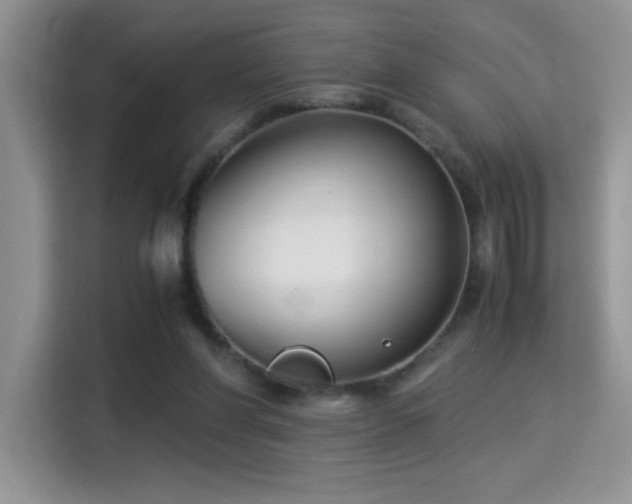 X0000115300206200911091019