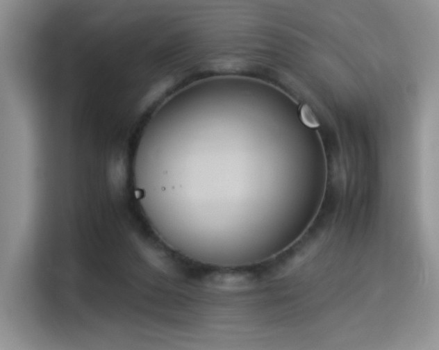 X0000115300208200911091019