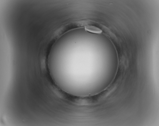 X0000115300209200911091019