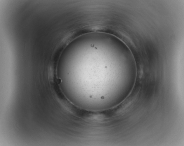 X0000115300210200911091019