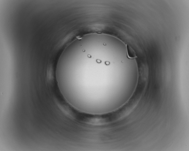 X0000115300212200911091018
