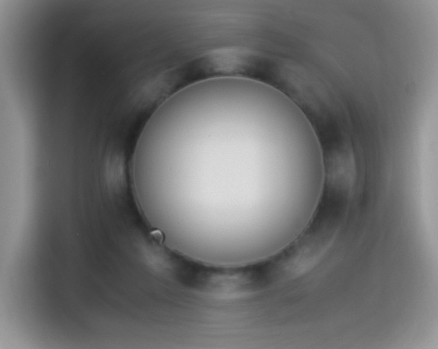 X0000115300213200911091018