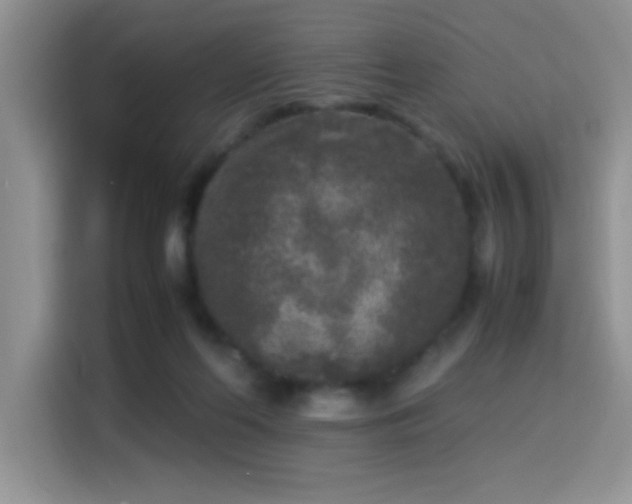 X0000115300214200911091018