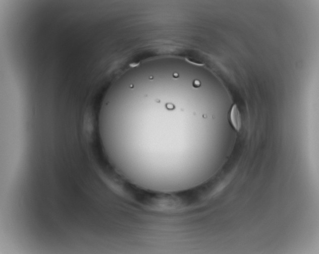 X0000115300215200911091018