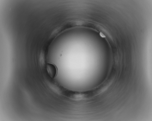 X0000115300216200911091018