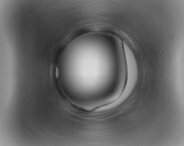 X0000115300217200911091018