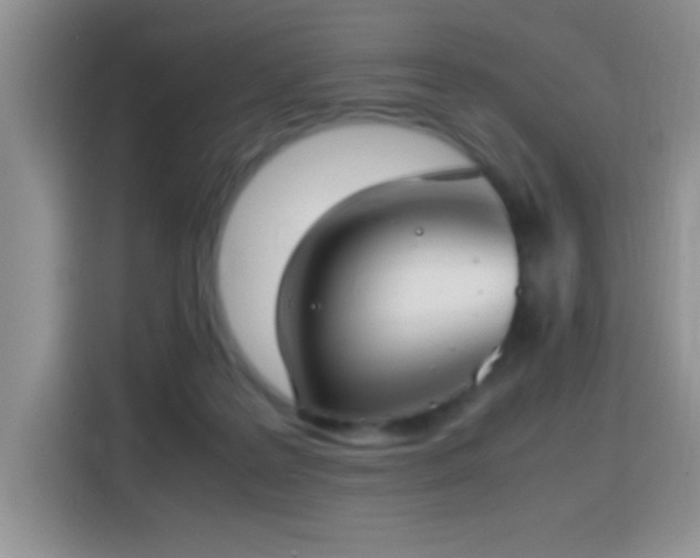 X0000115300219200911091018