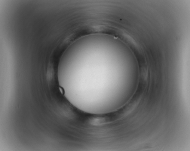 X0000115300220200911091018
