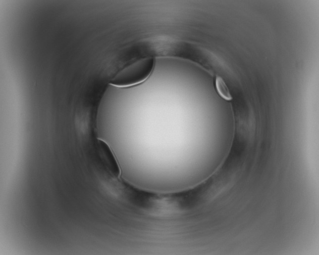 X0000115300221200911091018