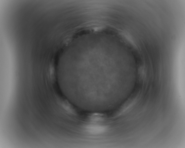 X0000115300222200911091018