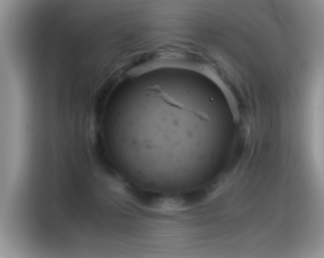 X0000115300223200911091018