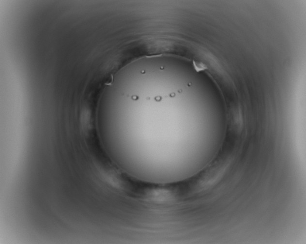 X0000115300224200911091018