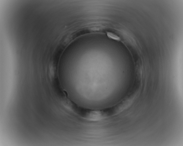 X0000115300227200911091018