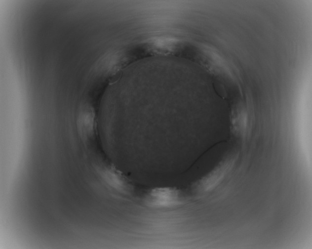 X0000115300231200911091018