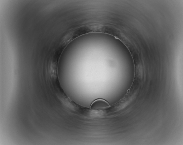 X0000115300234200911091018