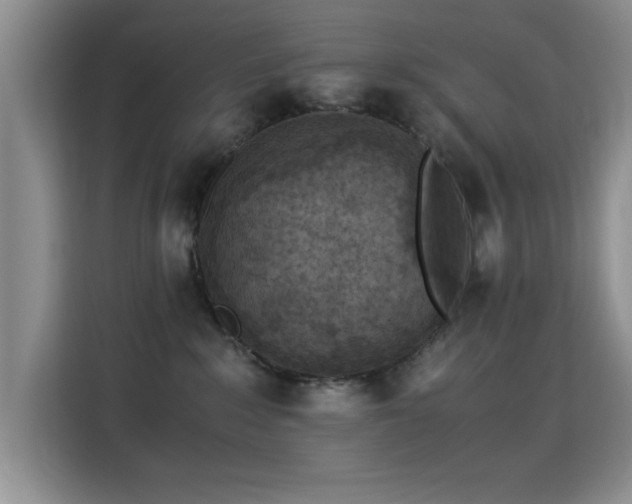 X0000115300235200911091018