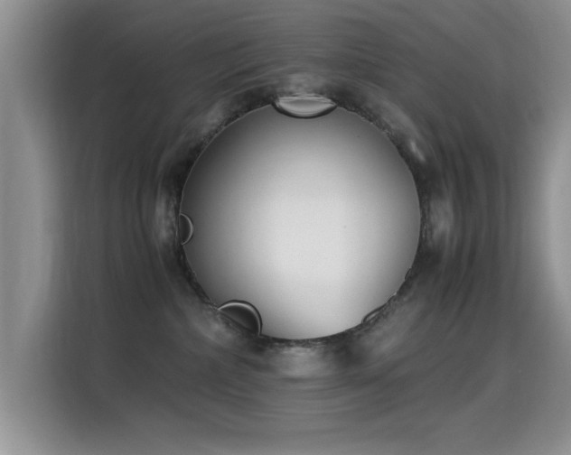 X0000115300236200911091018