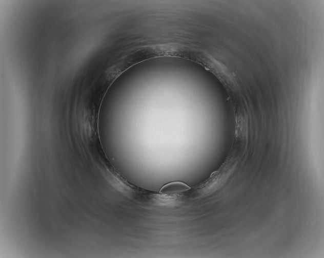 X0000115300238200911091018