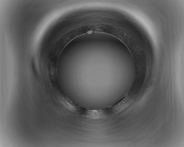 X0000115300239200911091018