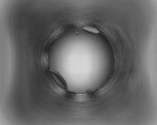 X0000115300240200911091018