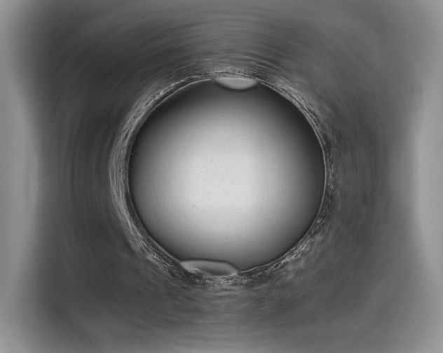 X0000115300241200911091018
