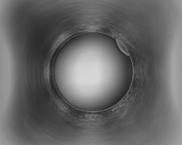 X0000115300242200911091018
