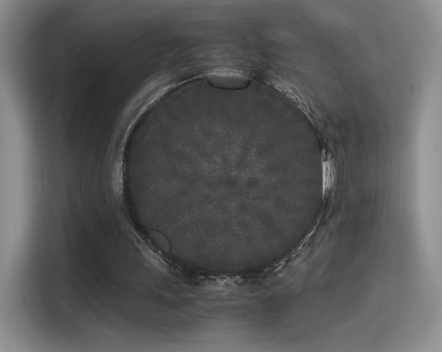 X0000115300243200911091018