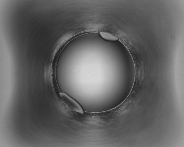 X0000115300244200911091018