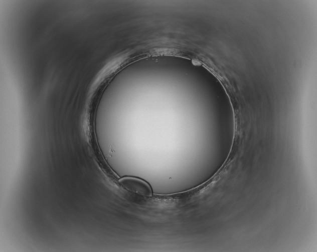X0000115300245200911091018