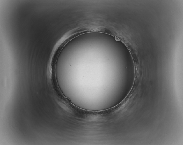X0000115300246200911091018